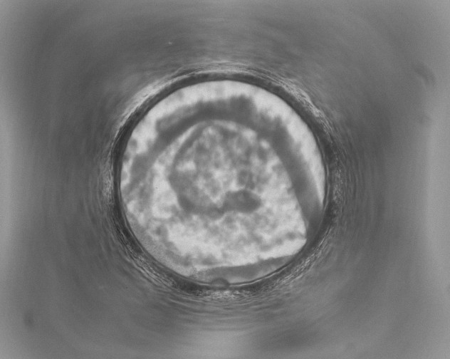 X0000115561167200912041047