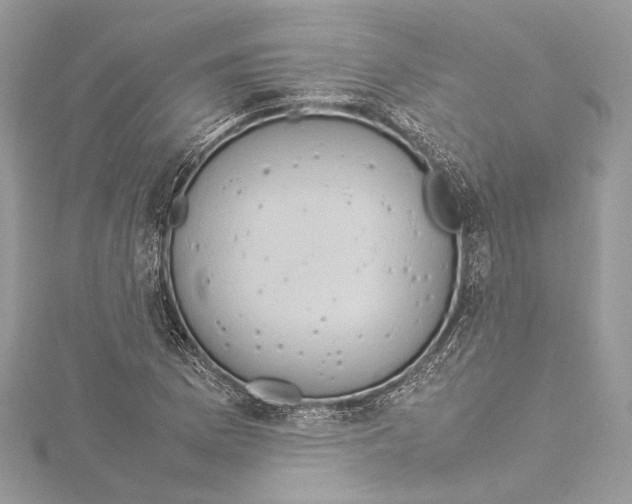 X0000115561169200912041047