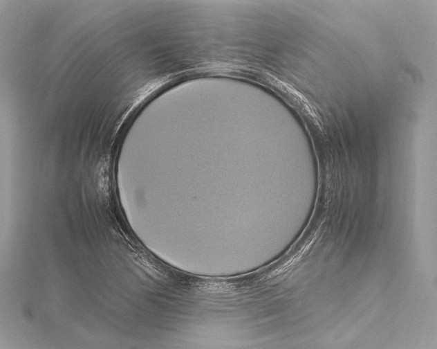 X0000115561170200912041047