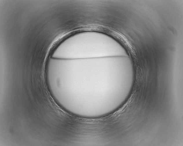 X0000115561172200912041047