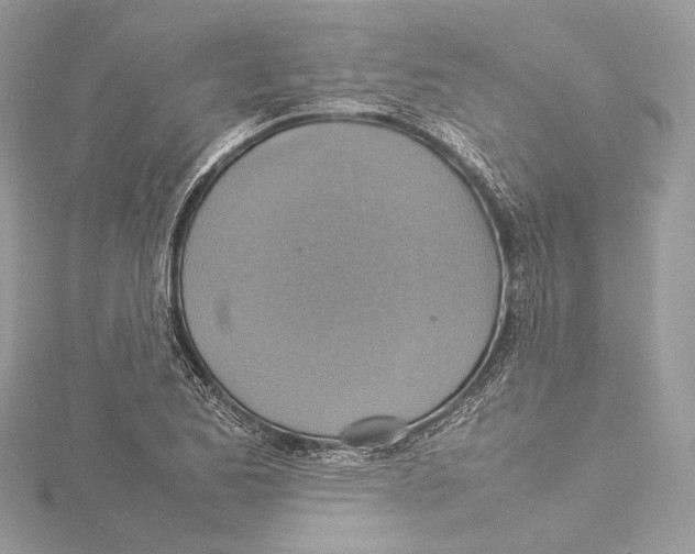 X0000115561173200912041047