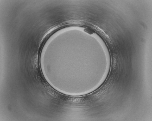 X0000115561174200912041047