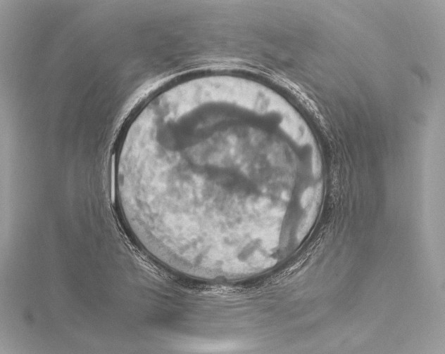 X0000115561175200912041047