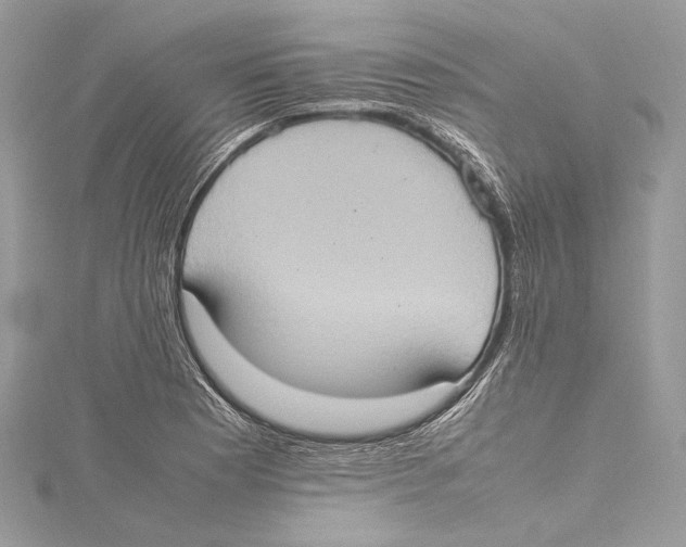 X0000115561177200912041047