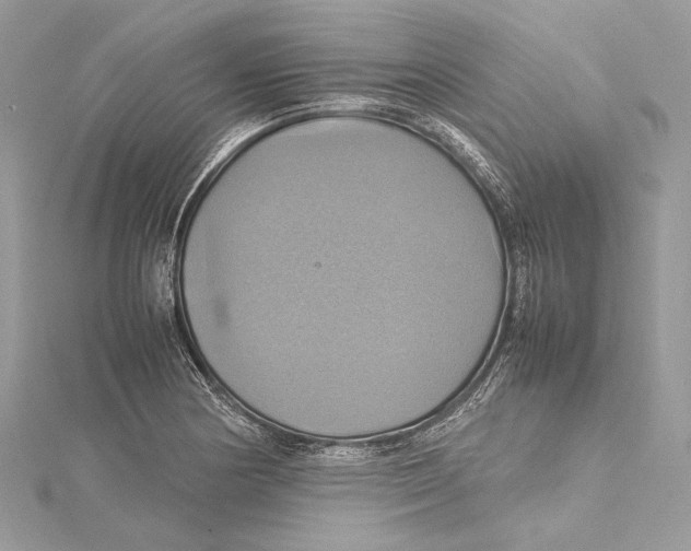 X0000115561178200912041047