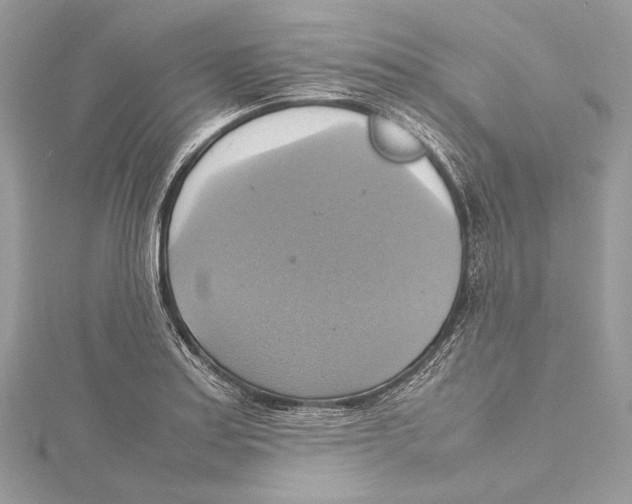 X0000115561179200912041047