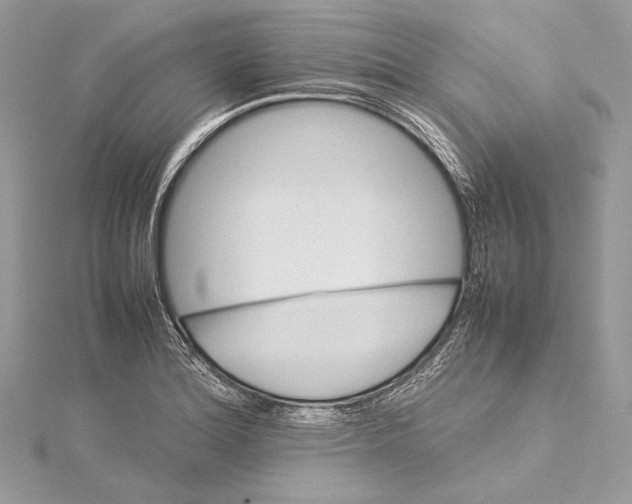 X0000115561180200912041047