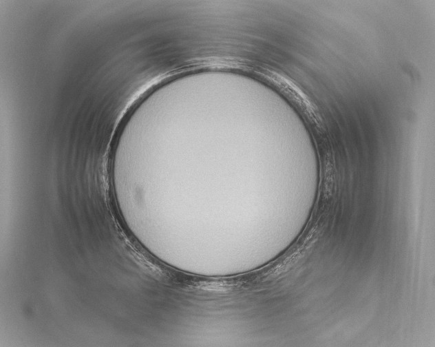 X0000115561182200912041047