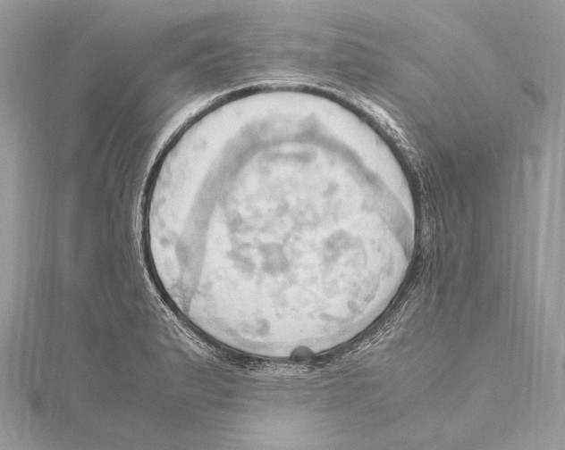 X0000115561183200912041047