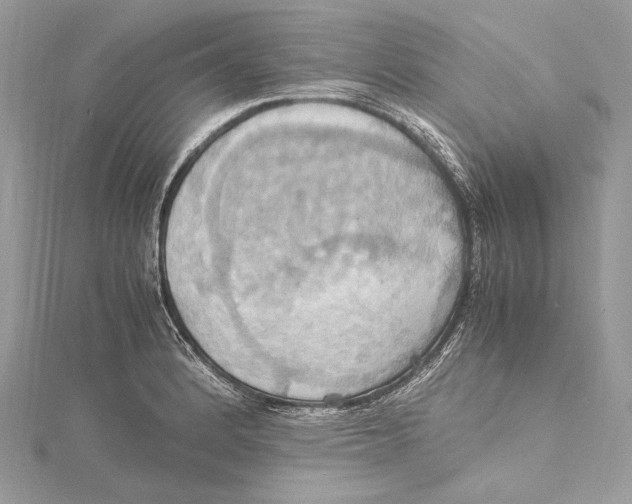 X0000115561184200912041047