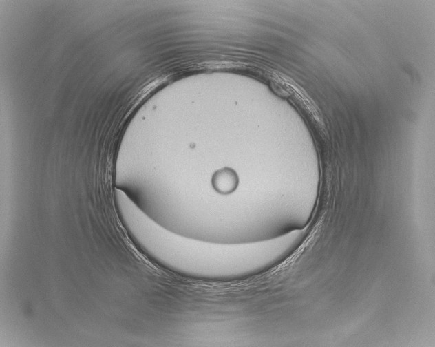 X0000115561185200912041047