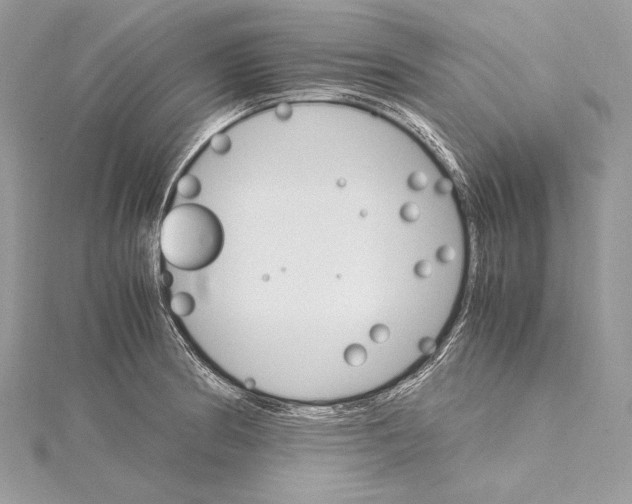 X0000115561186200912041047