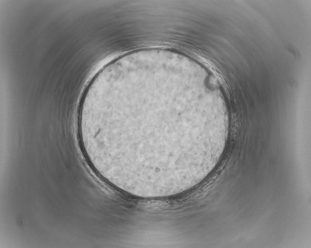 X0000115561187200912041047