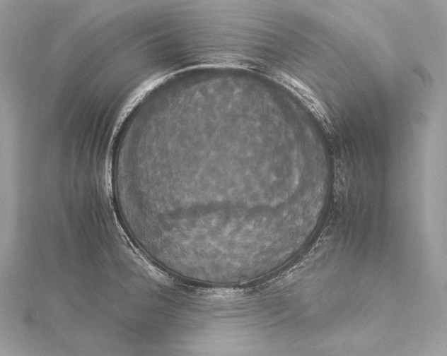 X0000115561188200912041047