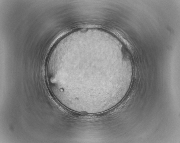 X0000115561189200912041047