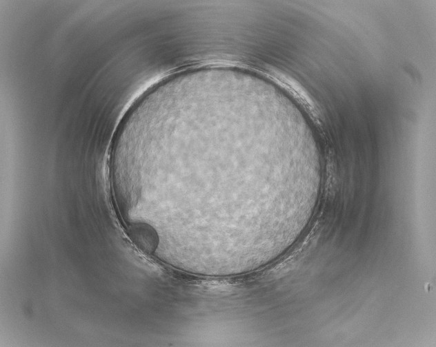 X0000115561190200912041047