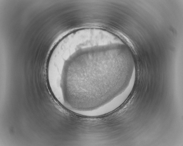 X0000115561192200912041047