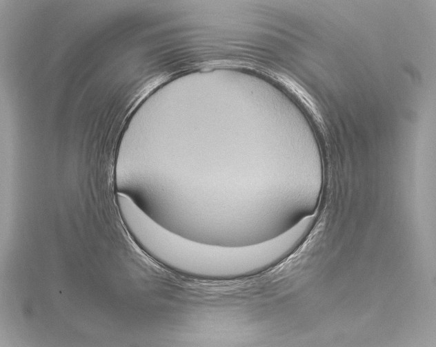 X0000115561193200912041047