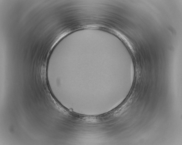 X0000115561194200912041047