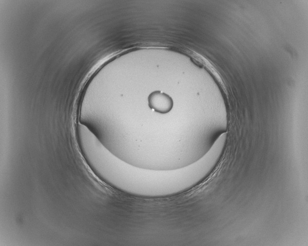 X0000115561195200912041047