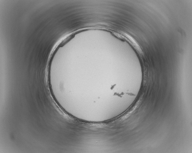 X0000115561196200912041047