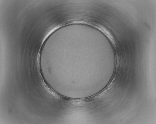 X0000115561198200912041046