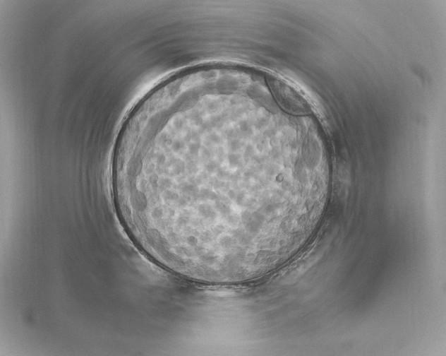 X0000115561199200912041046