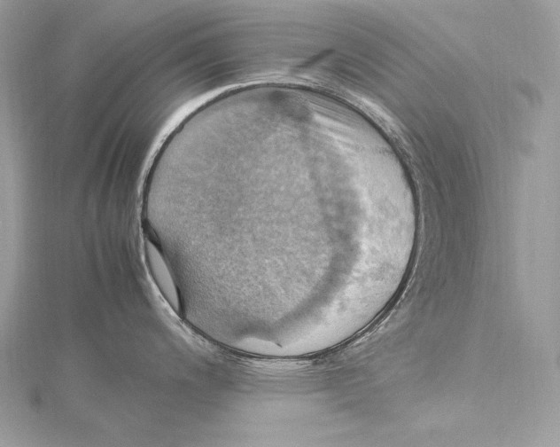 X0000115561200200912041046