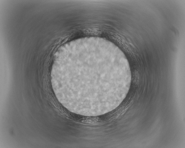 X0000115561201200912041046