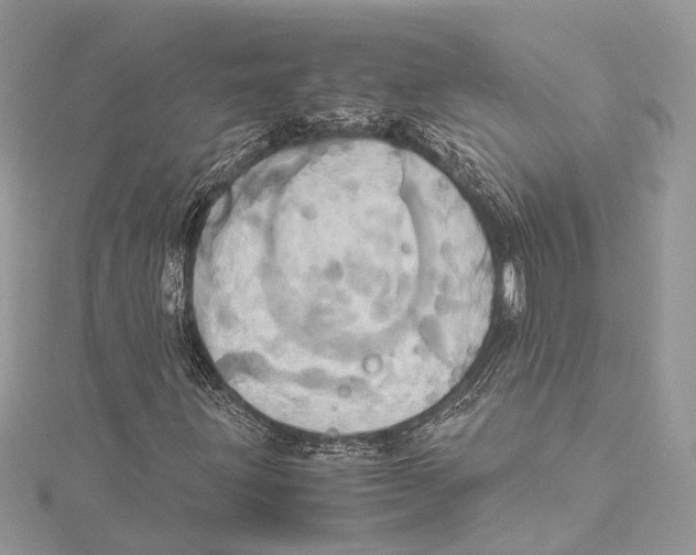 X0000115561203200912041046