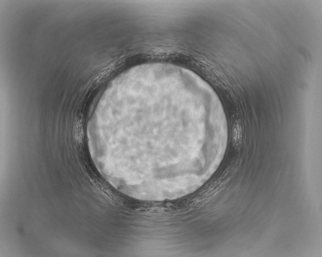 X0000115561204200912041046