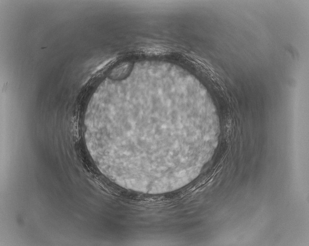 X0000115561205200912041046