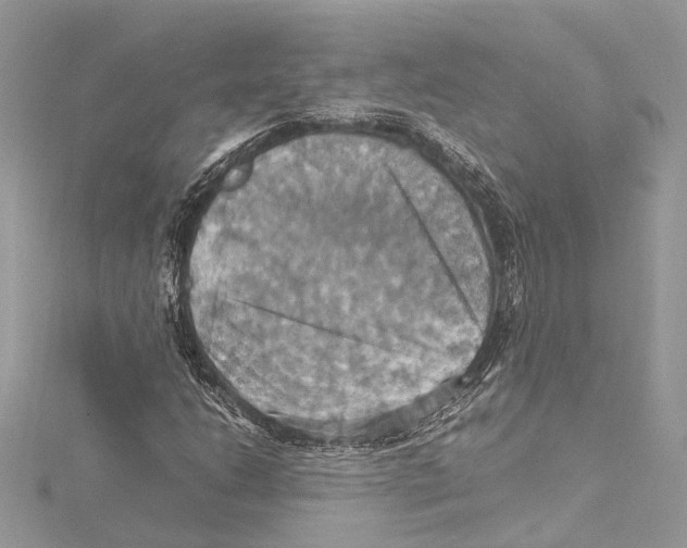 X0000115561206200912041046