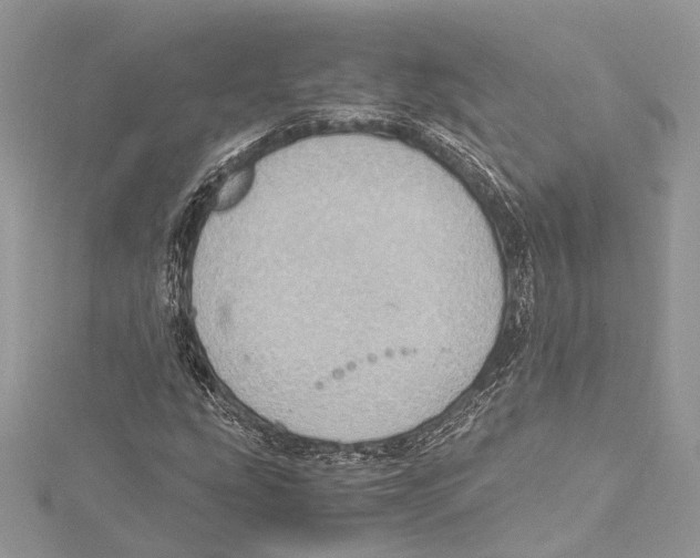 X0000115561207200912041046