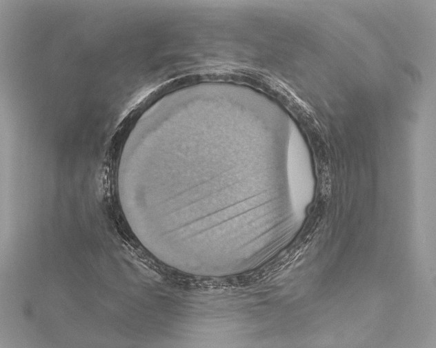 X0000115561208200912041046