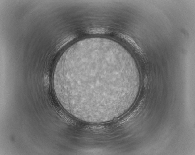 X0000115561209200912041046