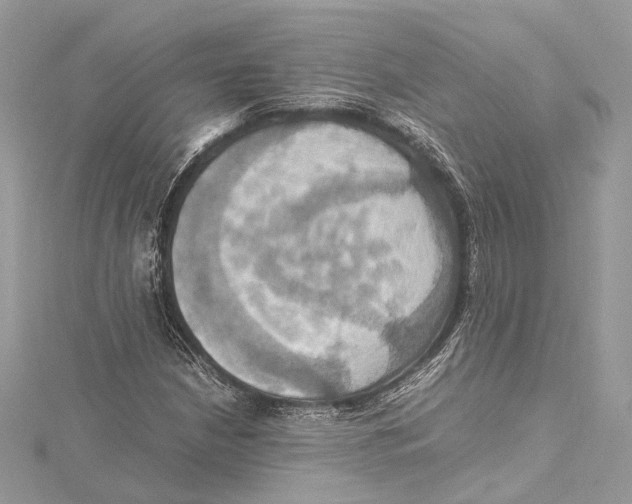 X0000115561210200912041046