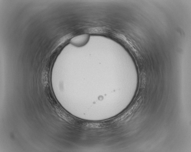 X0000115561211200912041046