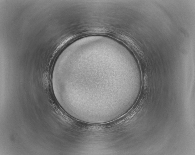 X0000115561212200912041046