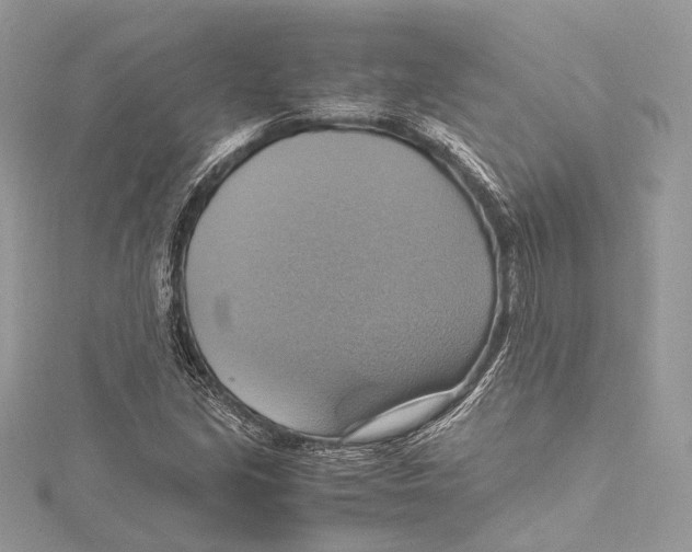 X0000115561213200912041046