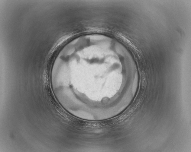 X0000115561215200912041046