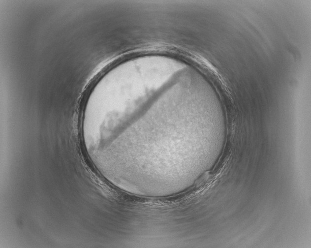 X0000115561216200912041046