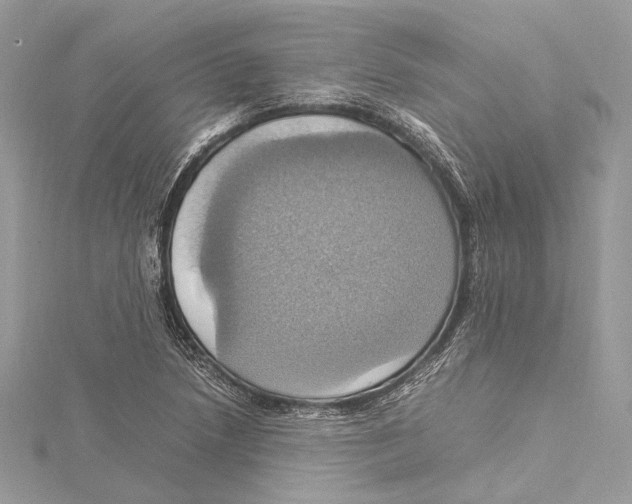 X0000115561218200912041046