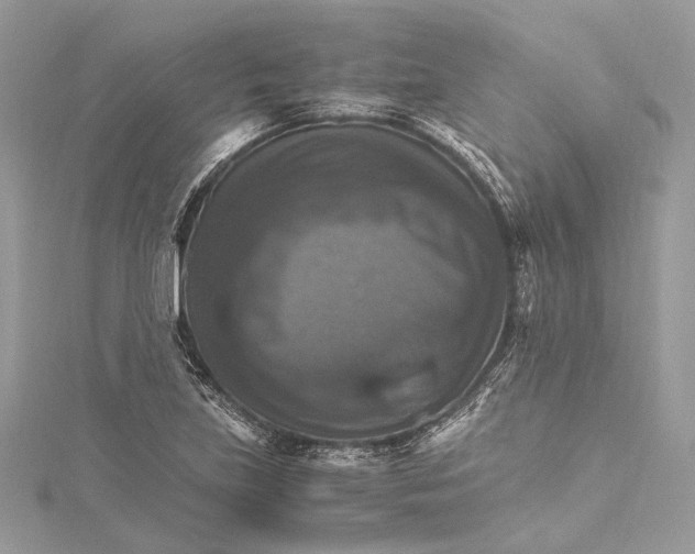 X0000115561219200912041046