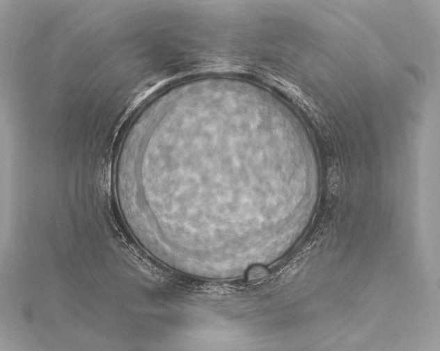 X0000115561220200912041046