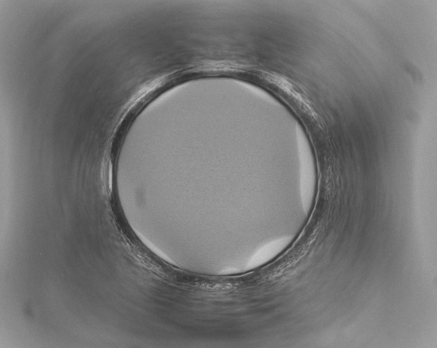 X0000115561221200912041046