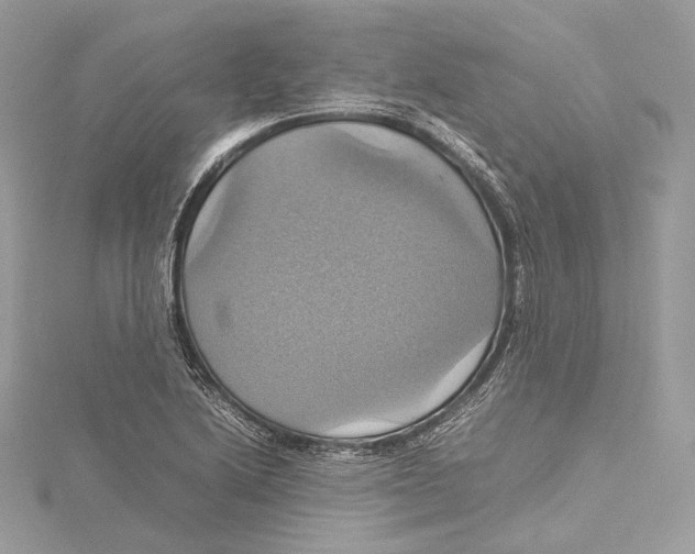 X0000115561222200912041046