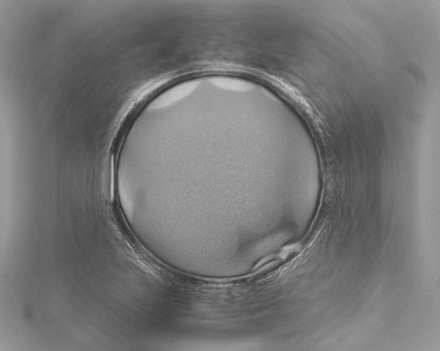 X0000115561223200912041046