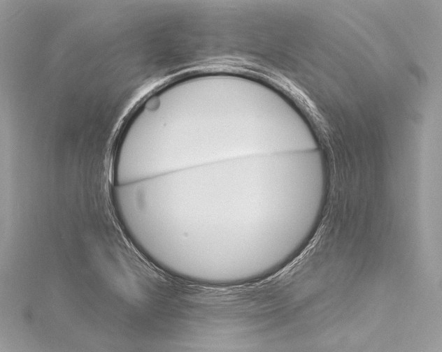 X0000115561224200912041046