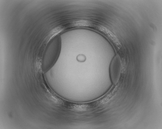 X0000115561225200912041046